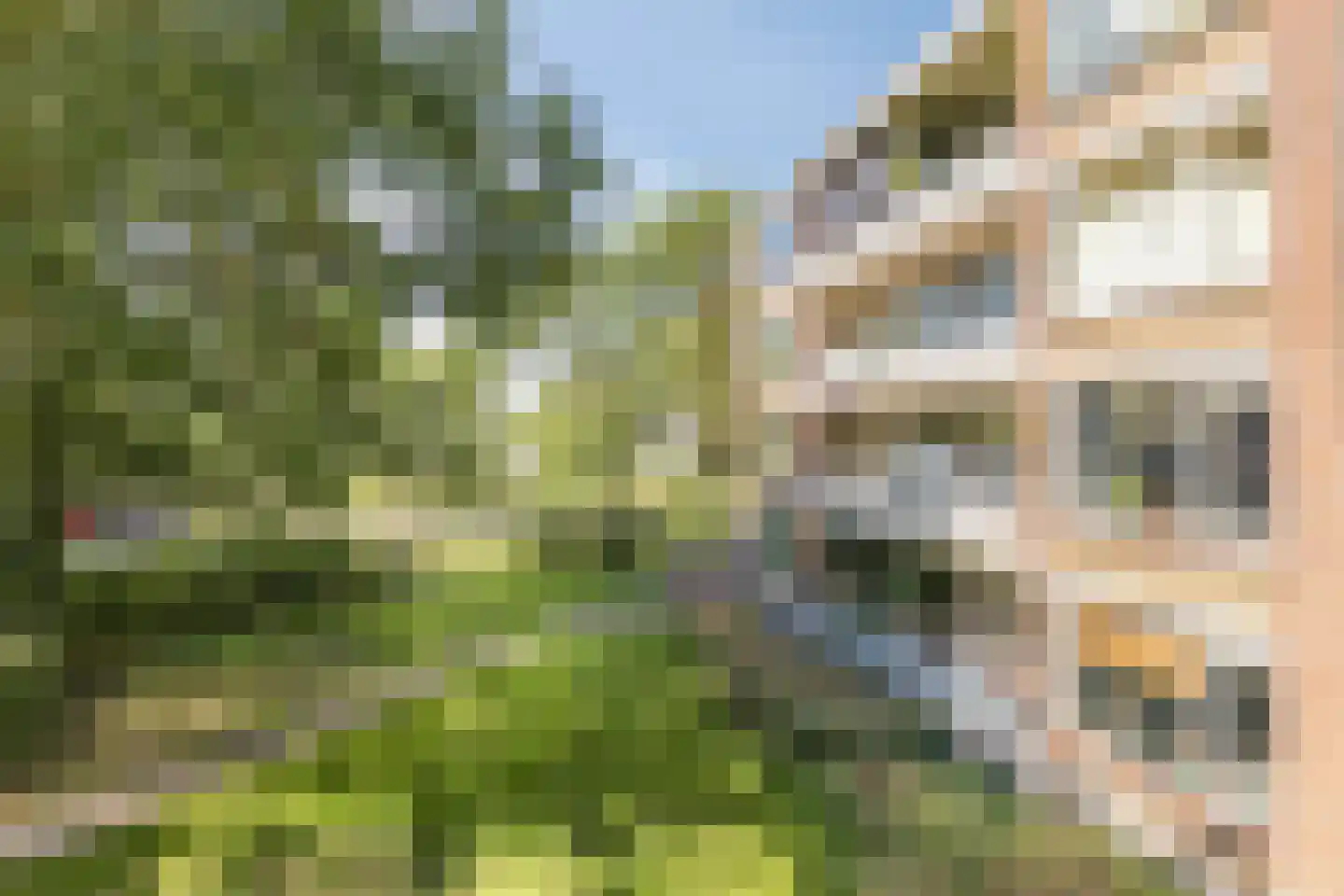 Thorbeckestraat 22 Wageningen thumbnail 24