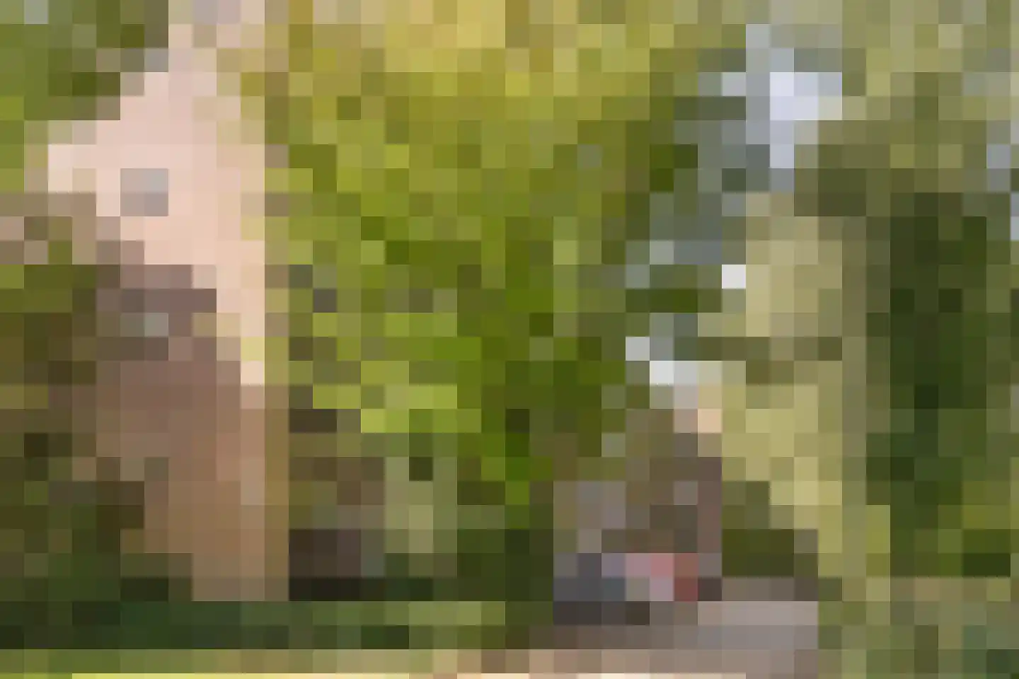 Thorbeckestraat 22 Wageningen thumbnail 25