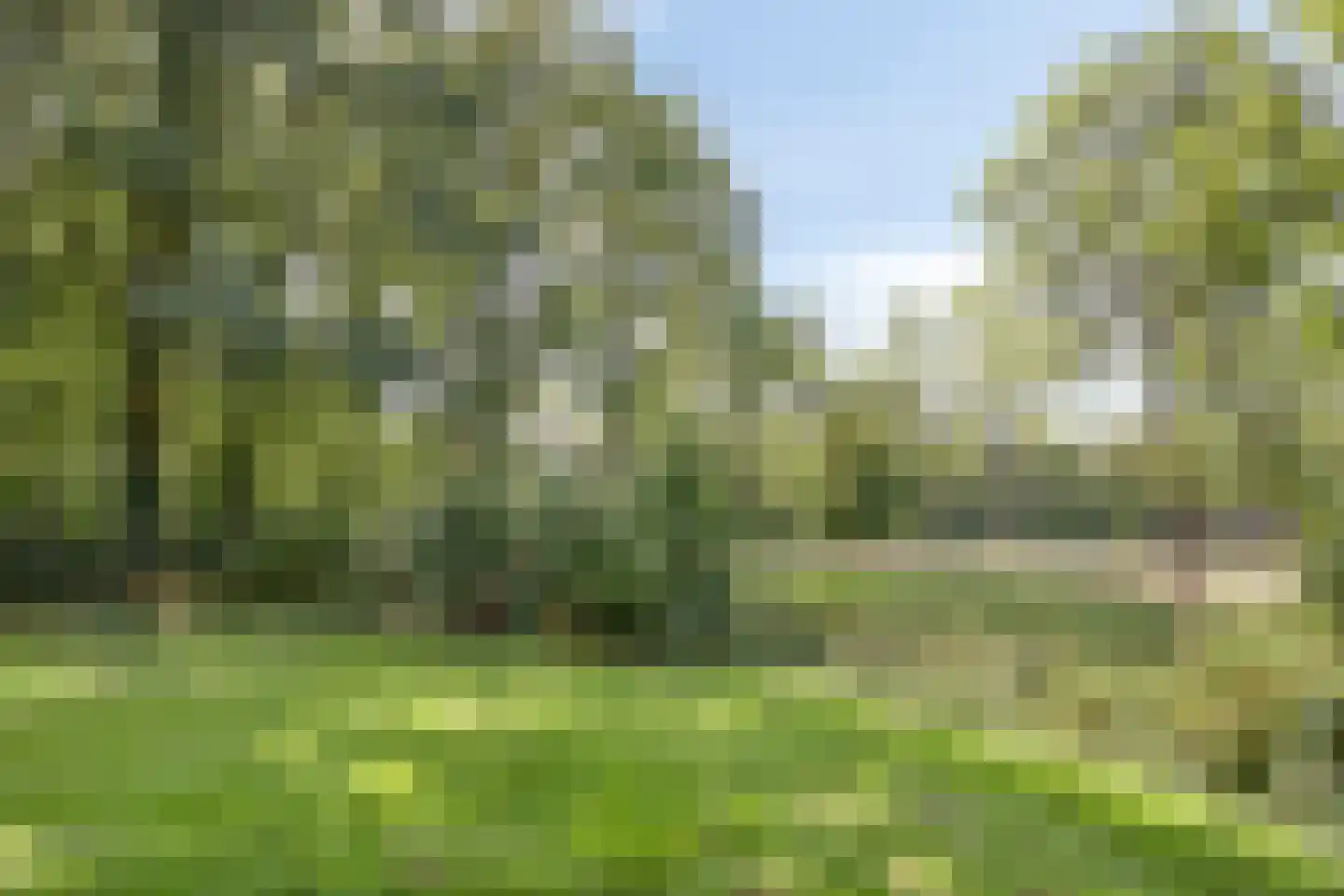 Thorbeckestraat 22 Wageningen thumbnail 26