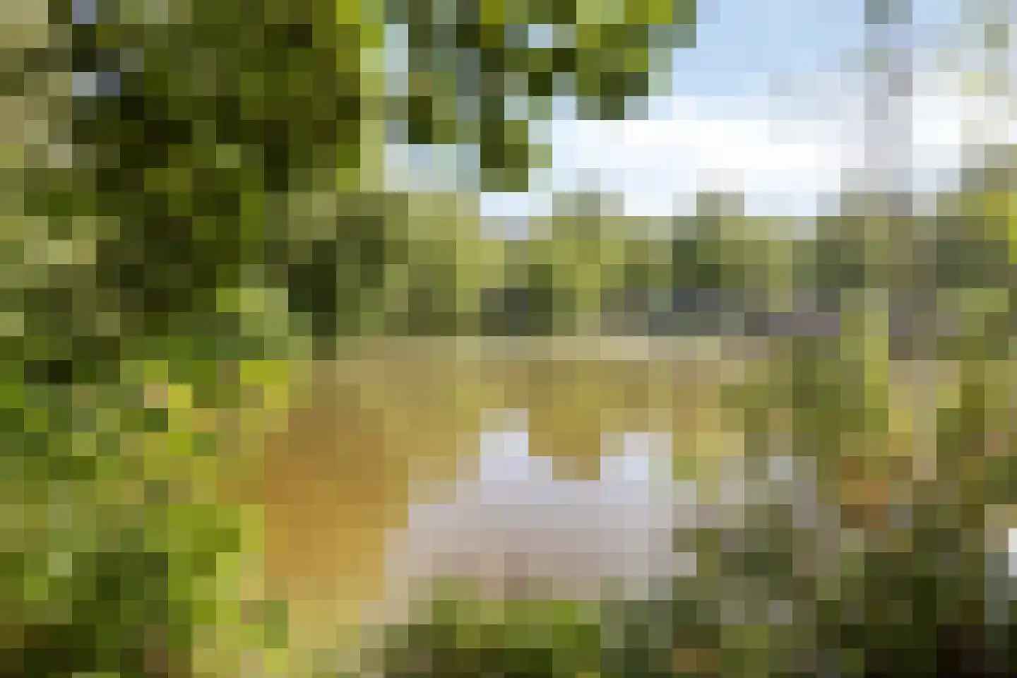 Thorbeckestraat 22 Wageningen thumbnail 27