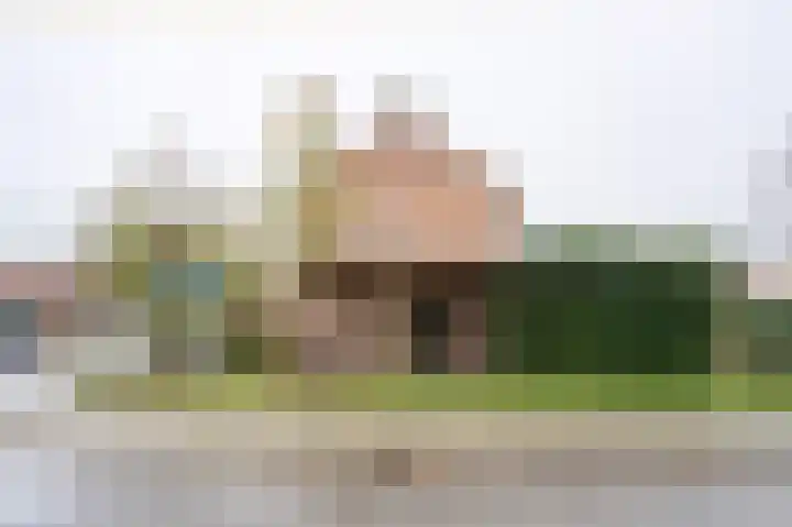 Thorbeckestraat 23 Brummen thumbnail 13