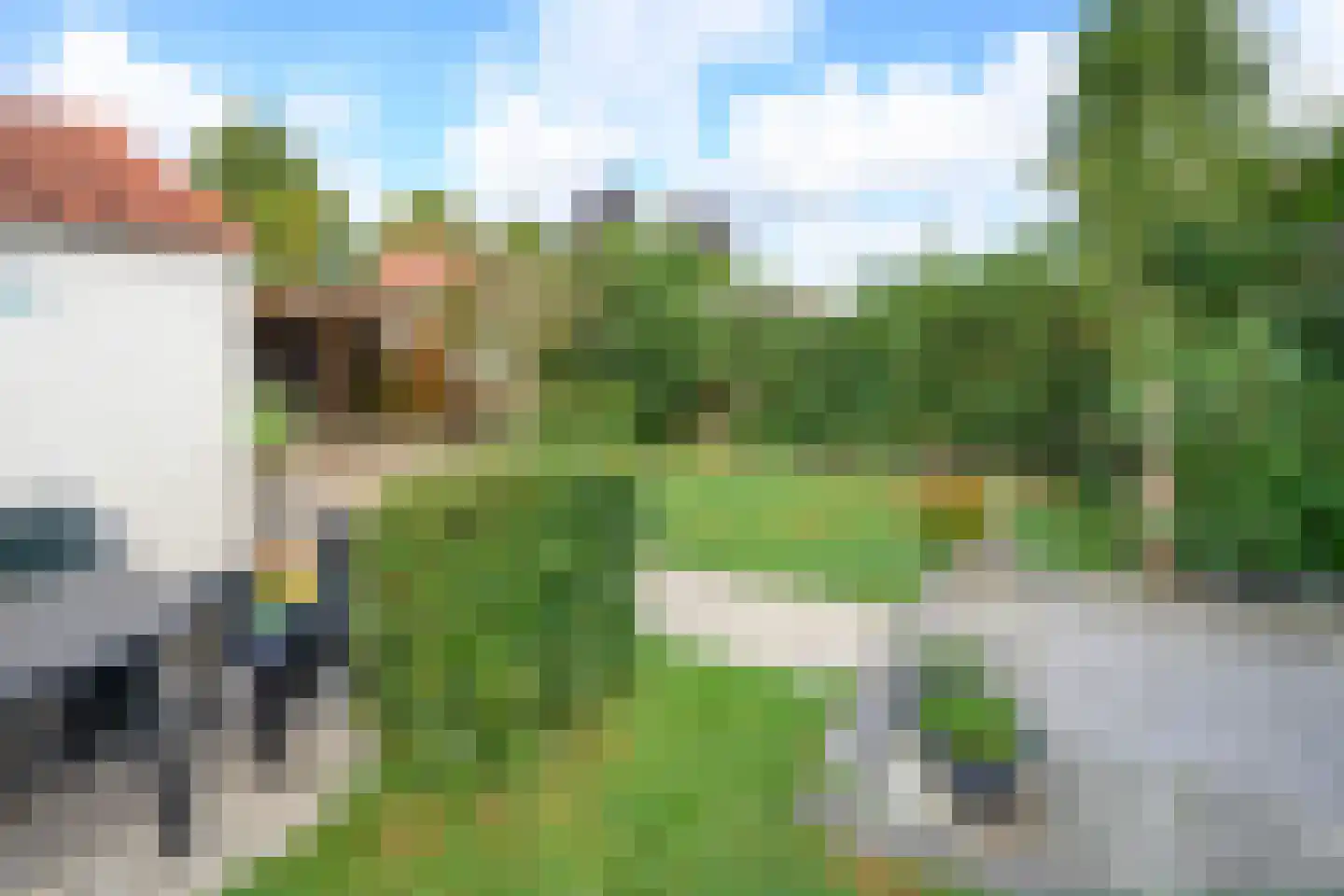Thorbeckestraat 23 Brummen thumbnail 15