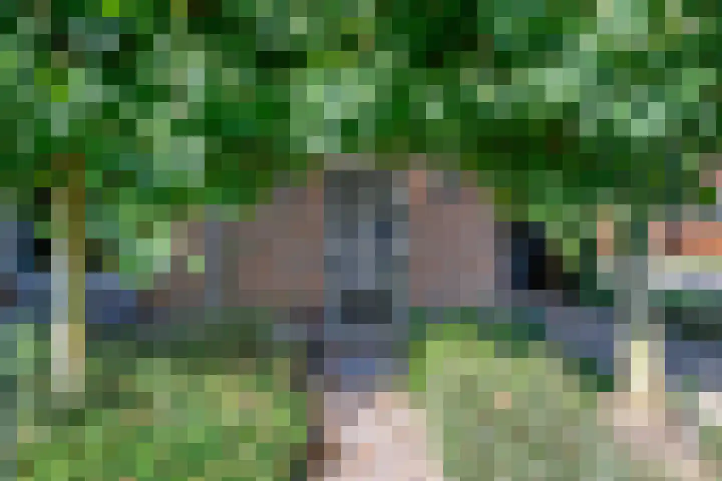 Thorbeckestraat 23 Brummen thumbnail 19