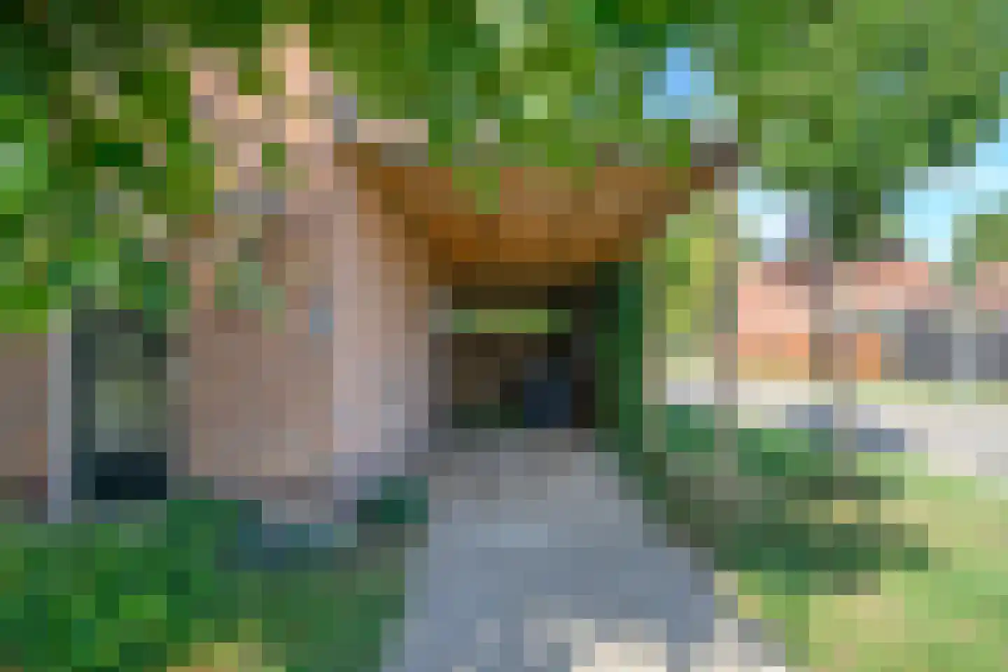 Thorbeckestraat 23 Brummen thumbnail 20