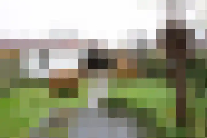 Thorbeckestraat 23 Brummen thumbnail 22