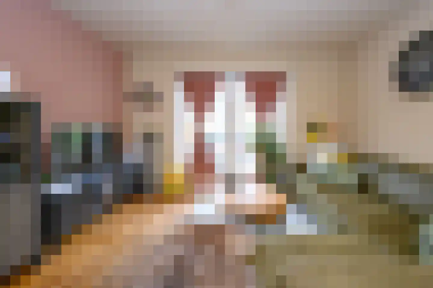 Thorbeckestraat 23 Brummen thumbnail 5