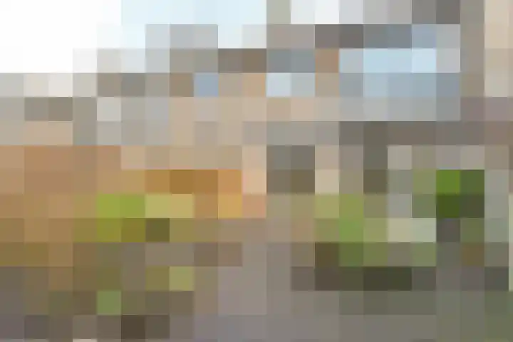 Thorbeckestraat 23 Wassenaar thumbnail 4