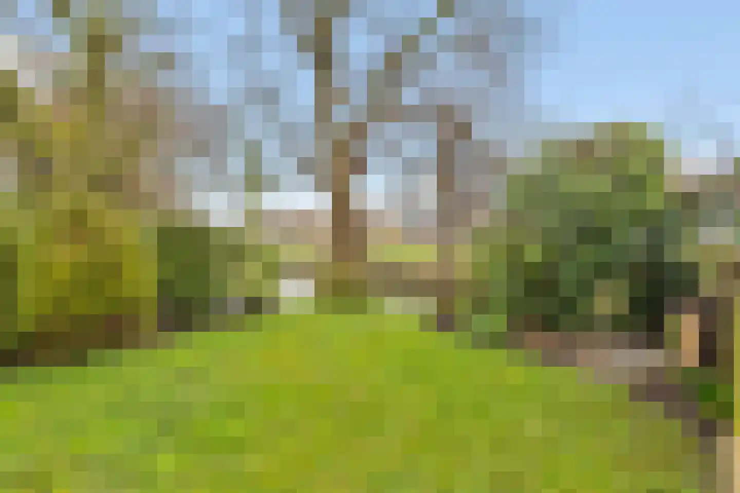 Thorbeckestraat 24 Schagen thumbnail 61