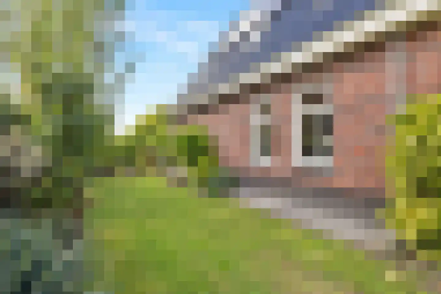 Thorbeckestraat 24 Schagen thumbnail 61