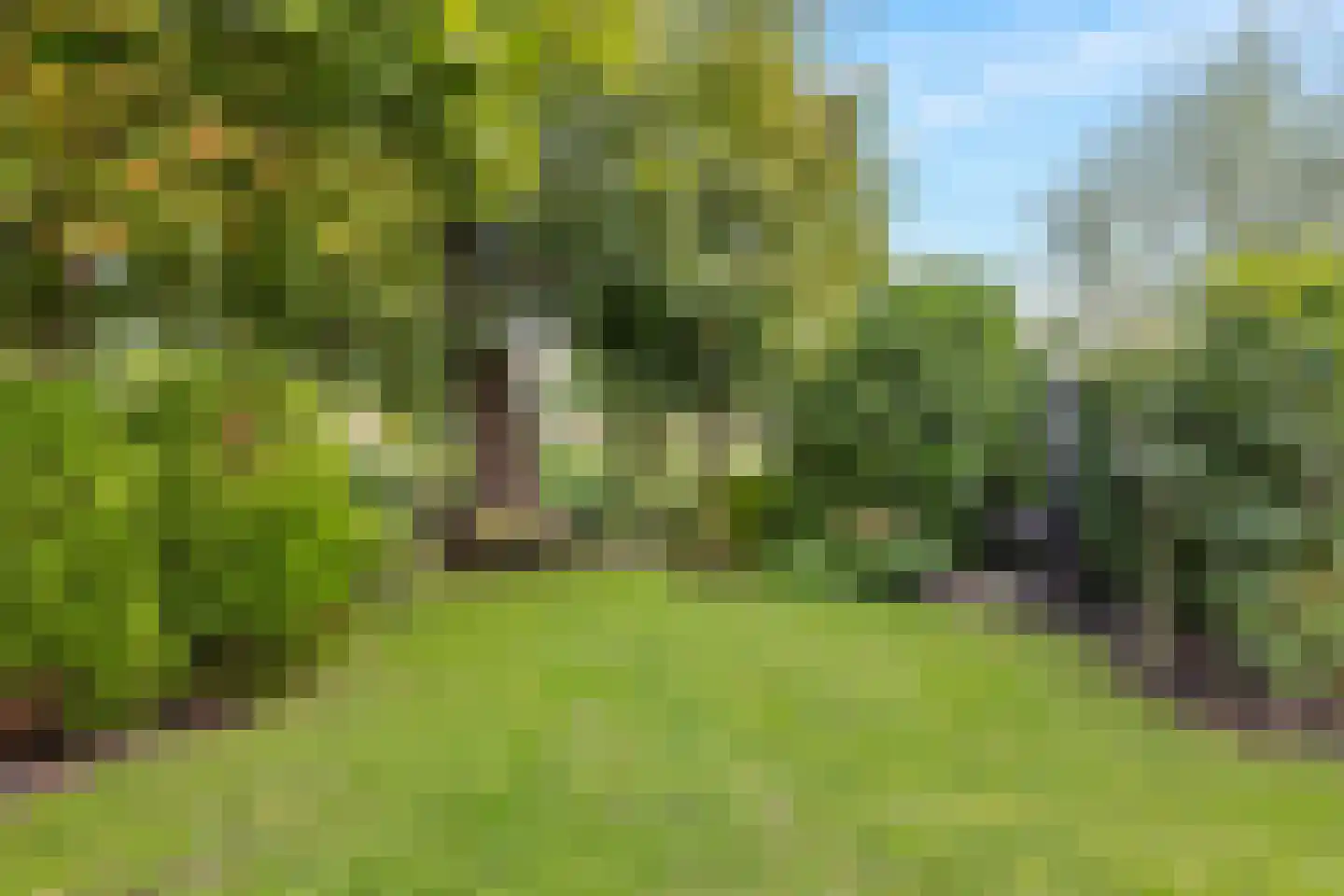 Thorbeckestraat 24 Schagen thumbnail 62