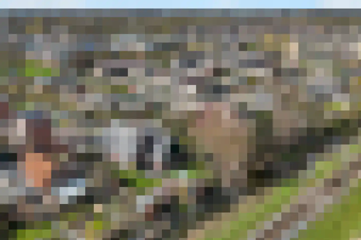 Thorbeckestraat 24 Schagen thumbnail 69