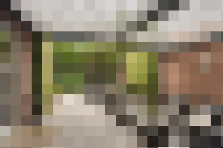 Thorbeckestraat 24 Sint-Oedenrode thumbnail 26