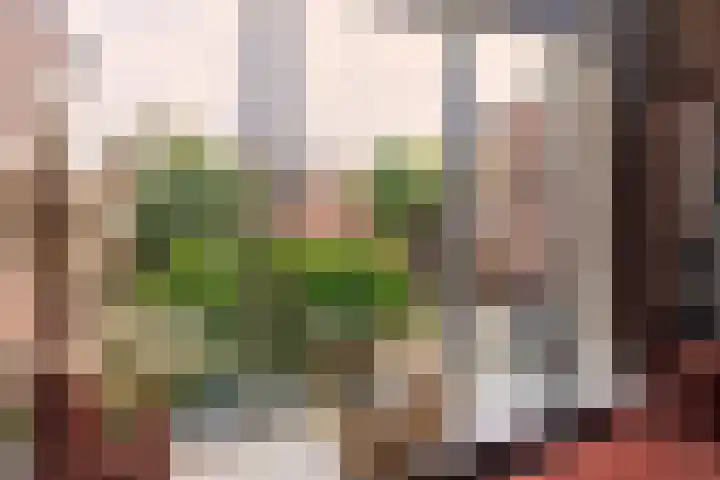 Thorbeckestraat 24 Soest thumbnail 5