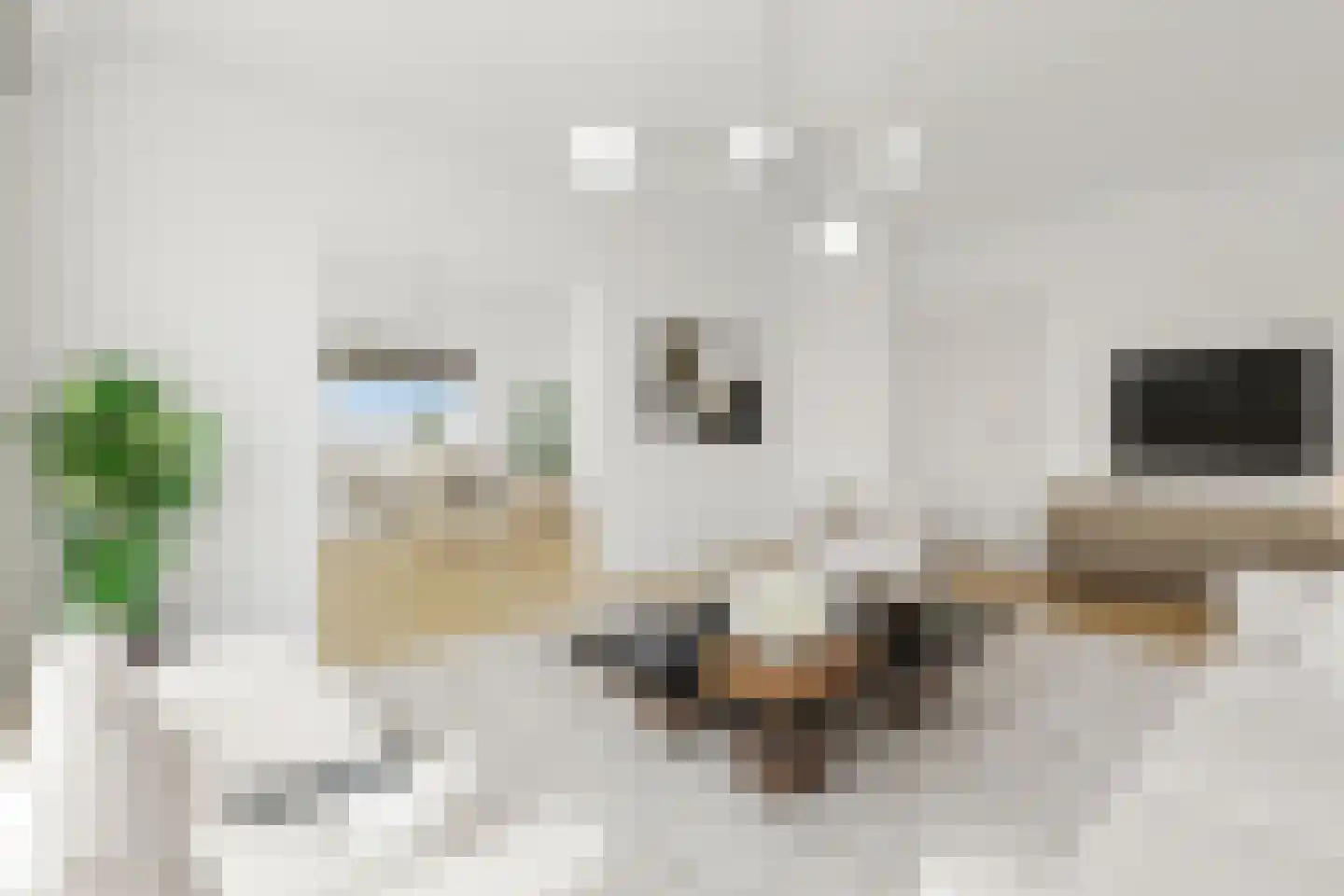 Thorbeckestraat 244 Wageningen thumbnail 7