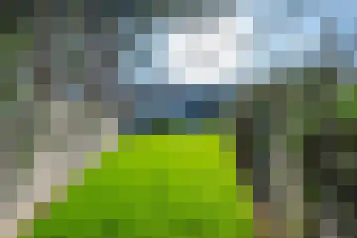 Thorbeckestraat 25 Geleen thumbnail 34