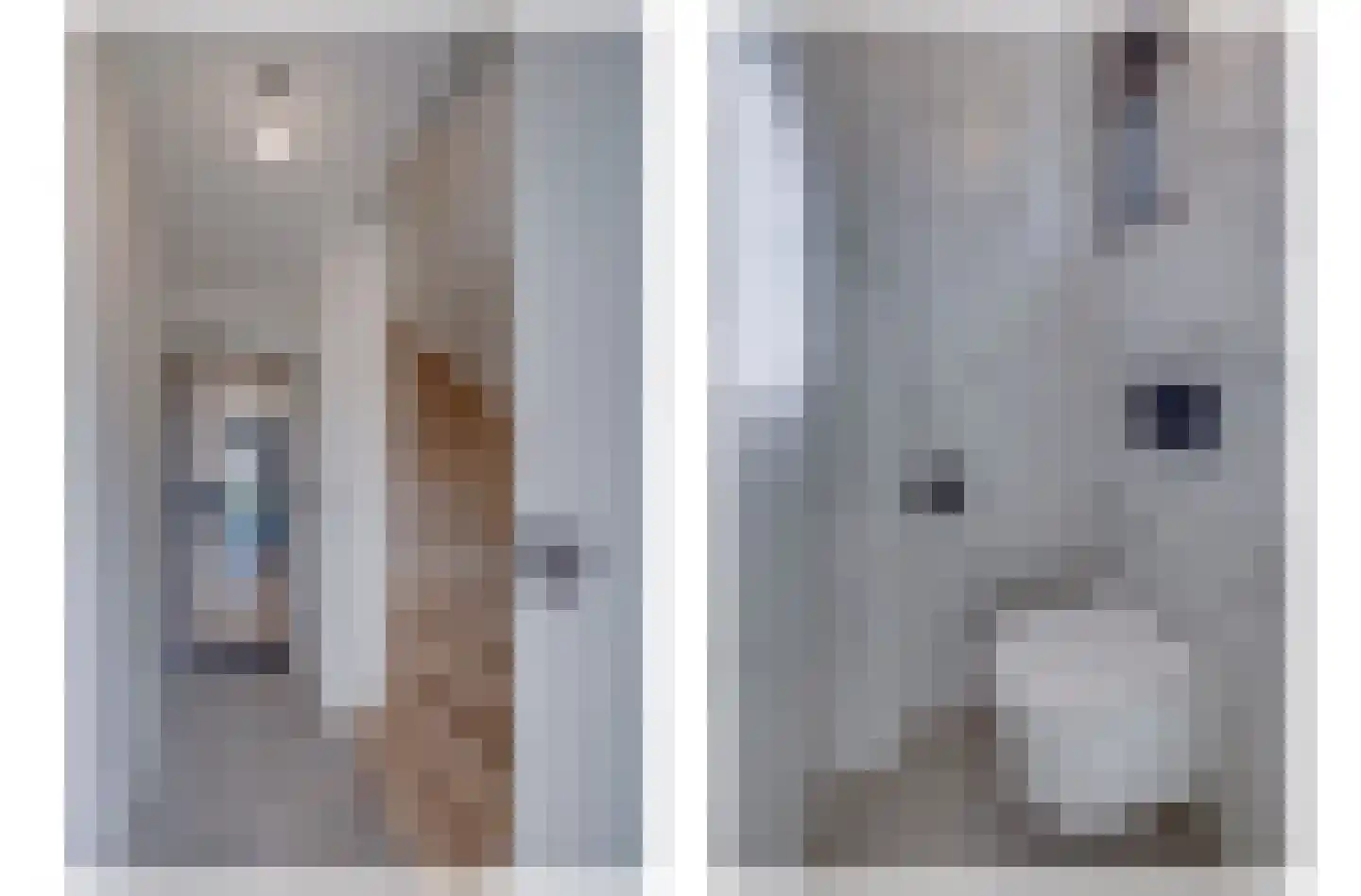 Thorbeckestraat 25 Geleen thumbnail 9