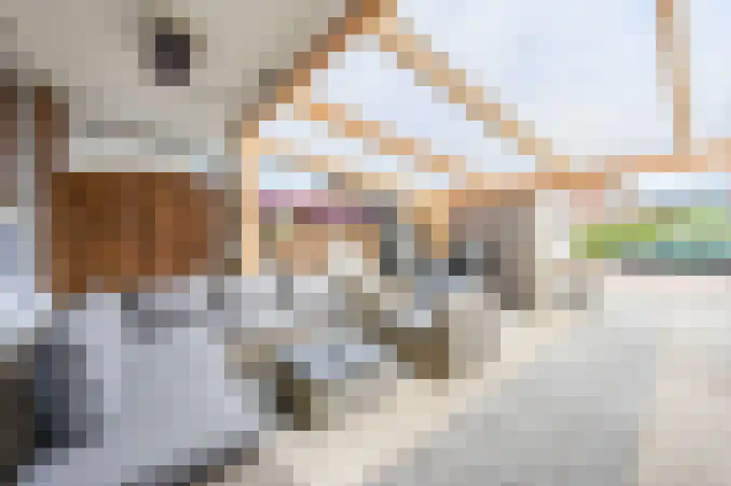 Thorbeckestraat 26 Katwijk thumbnail 25