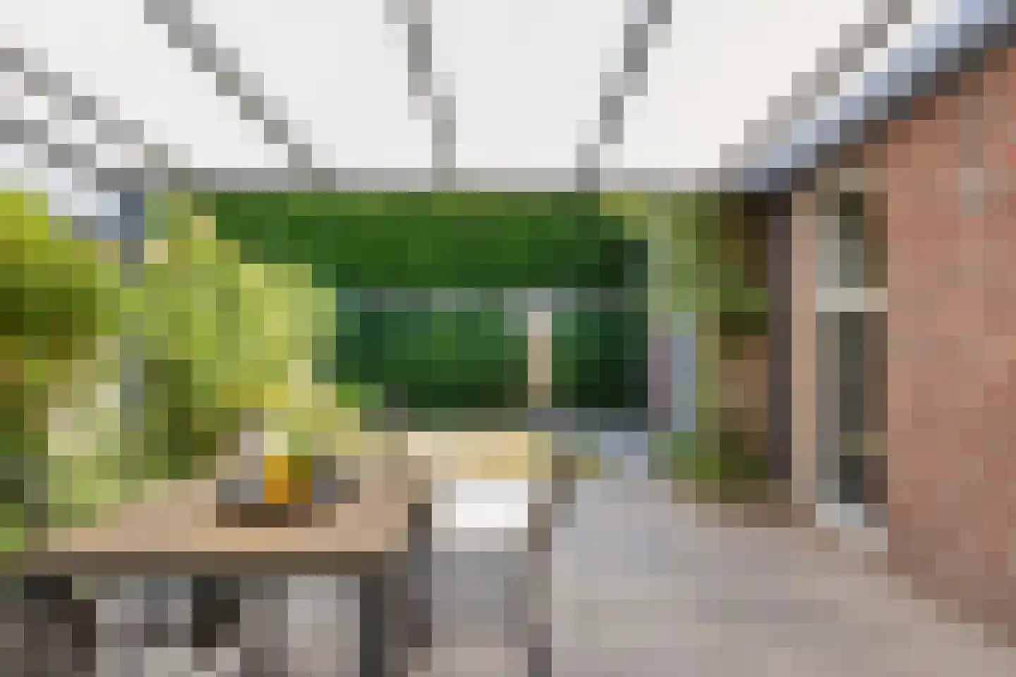 Thorbeckestraat 26 Sint-Oedenrode thumbnail 25