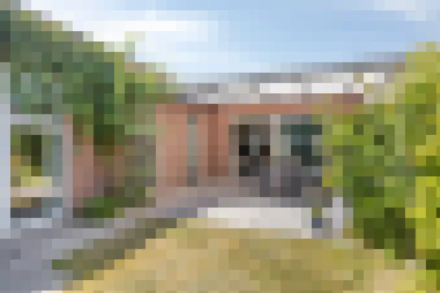 Thorbeckestraat 26 Sint-Oedenrode thumbnail 26