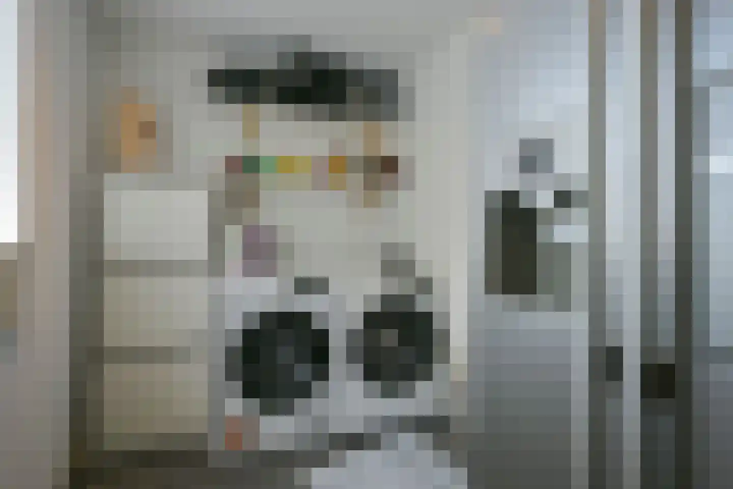 Thorbeckestraat 26 Sittard thumbnail 30