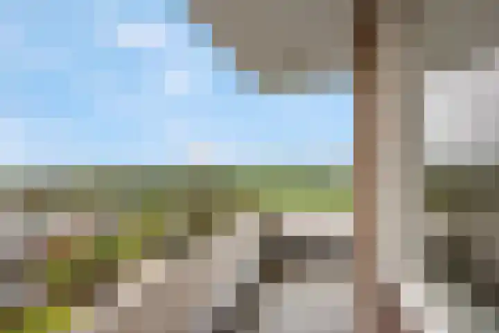 Thorbeckestraat 264 Wageningen thumbnail 7