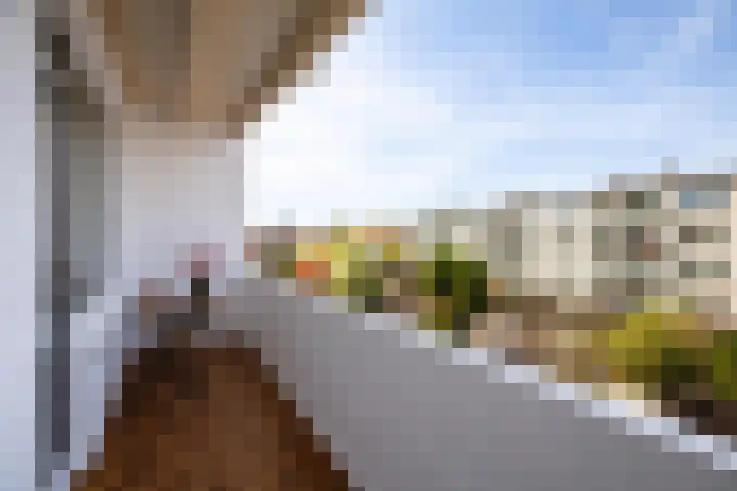 Thorbeckestraat 27 Vlaardingen thumbnail 26