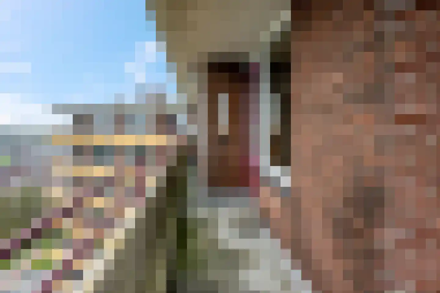 Thorbeckestraat 272 Wageningen thumbnail 9
