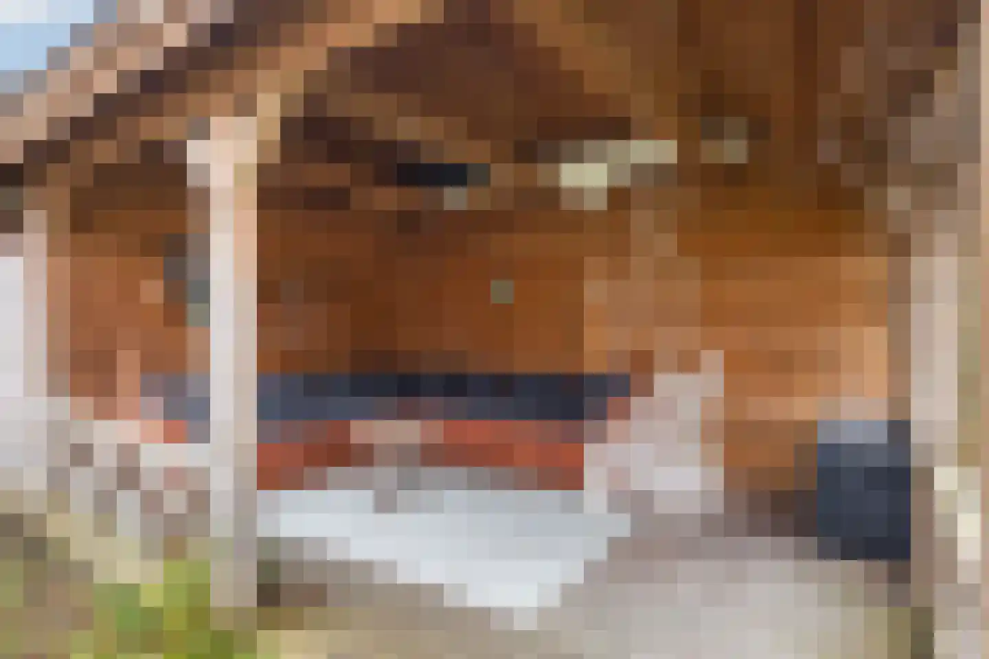 Thorbeckestraat 28 Apeldoorn thumbnail 36