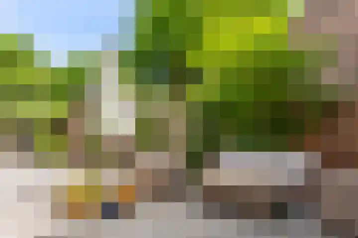 Thorbeckestraat 28 Epe thumbnail 25