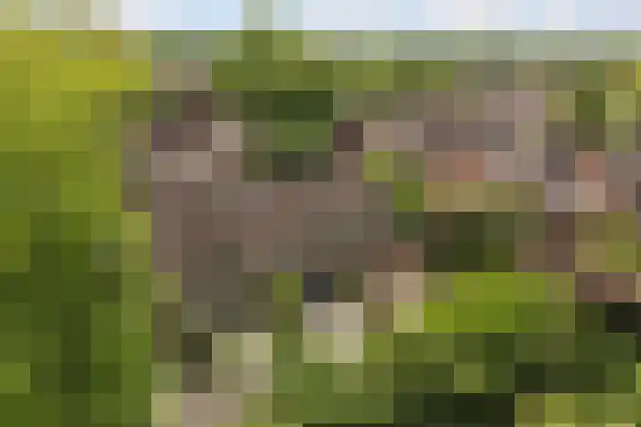 Thorbeckestraat 28 Epe thumbnail 26