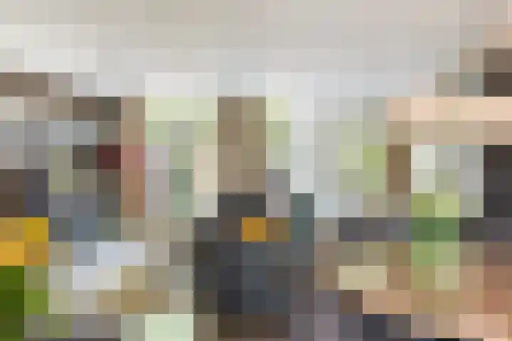 Thorbeckestraat 28 Epe thumbnail 6