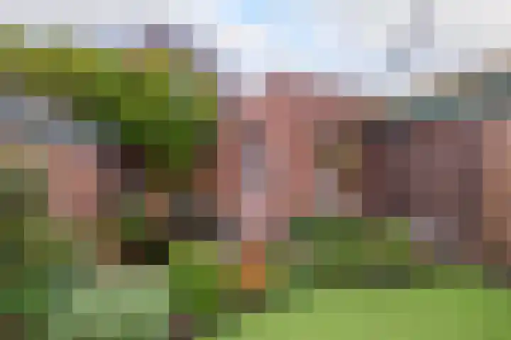 Thorbeckestraat 28 Tegelen thumbnail 19