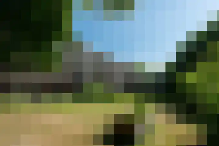 Thorbeckestraat 284 Wageningen thumbnail 23