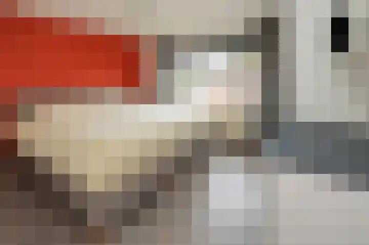 Thorbeckestraat 29 Brummen thumbnail 12