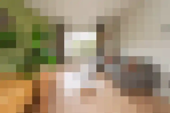 Thorbeckestraat 29 Brummen thumbnail 4