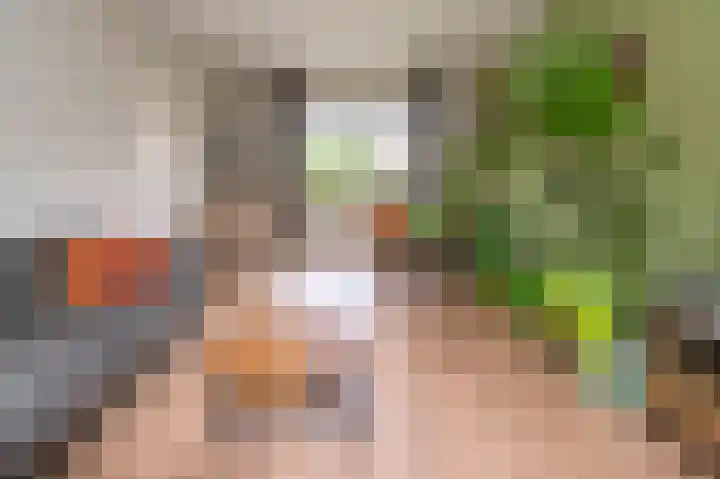 Thorbeckestraat 29 Brummen thumbnail 5