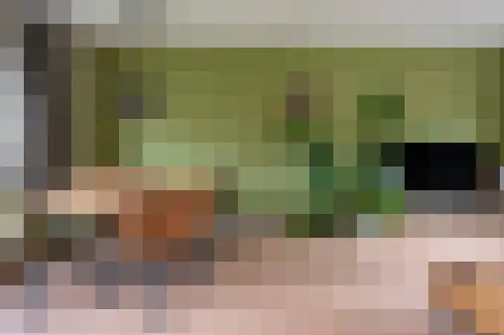 Thorbeckestraat 29 Brummen thumbnail 6