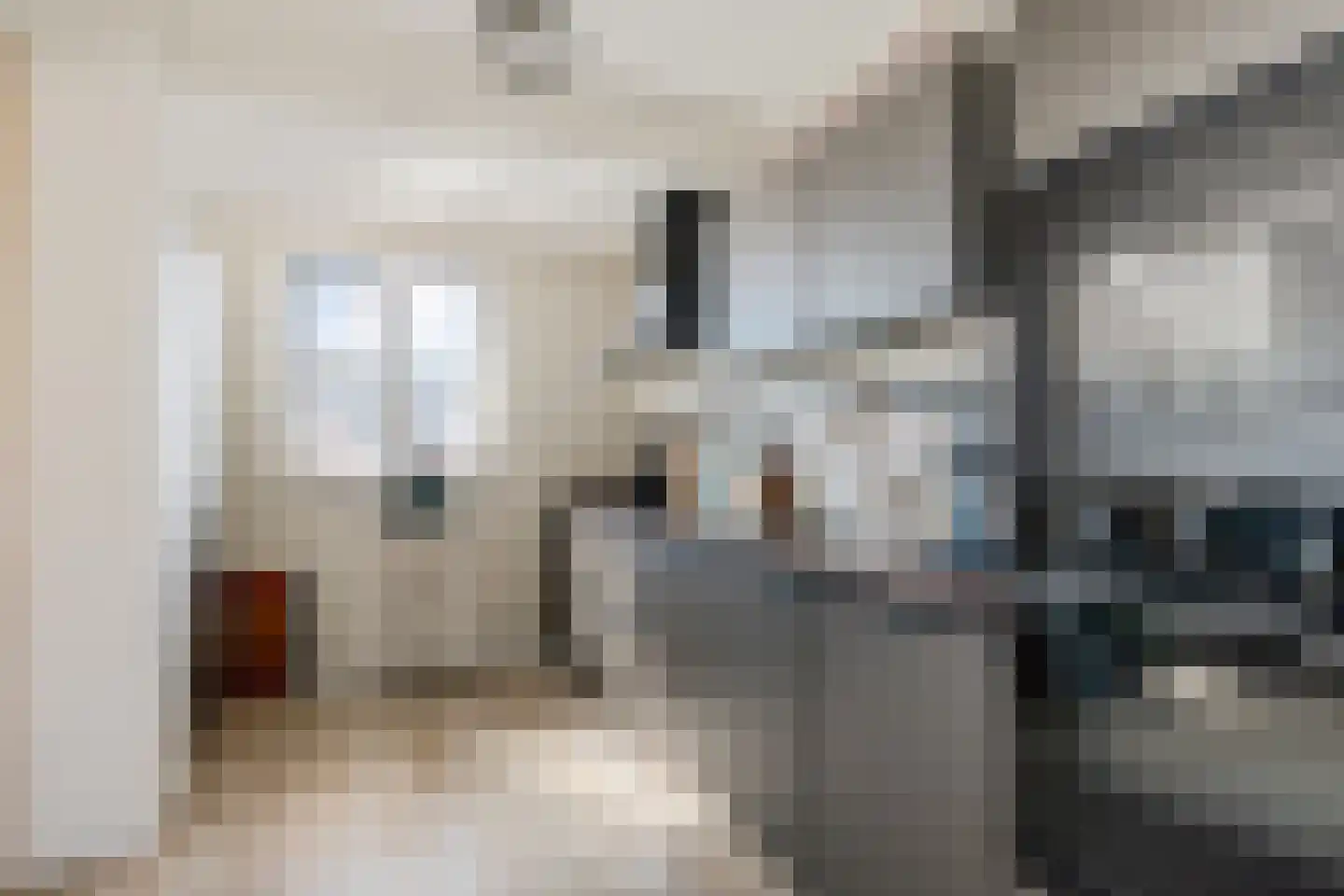 Thorbeckestraat 29 Zandvoort thumbnail 9