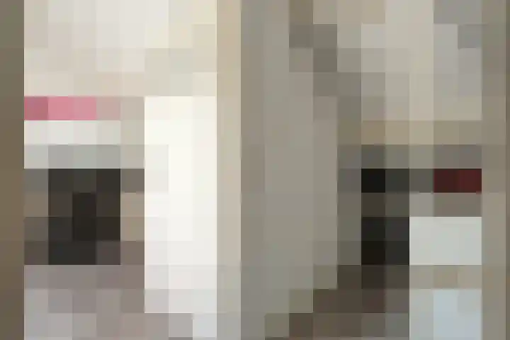 Thorbeckestraat 3 Bergentheim thumbnail 27