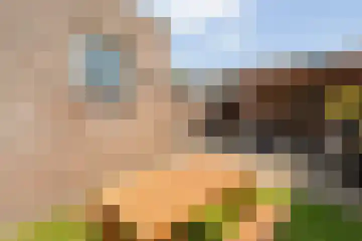 Thorbeckestraat 3 Bergentheim thumbnail 32