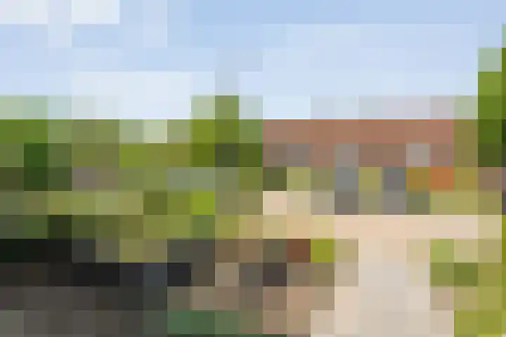 Thorbeckestraat 3 Bergentheim thumbnail 6