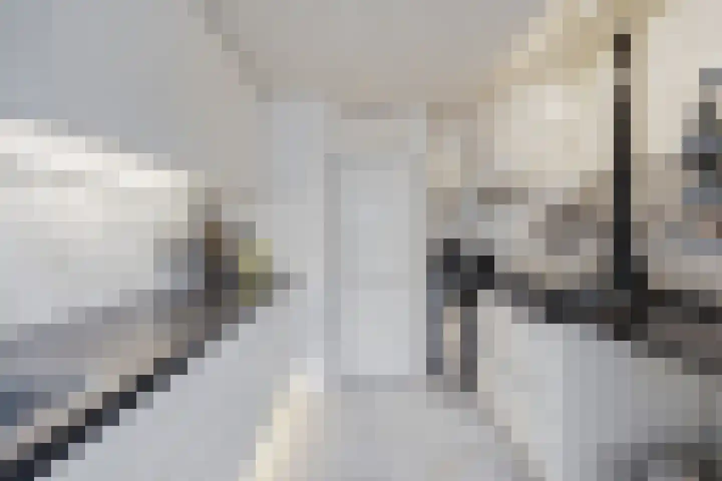 Thorbeckestraat 3 Didam thumbnail 12