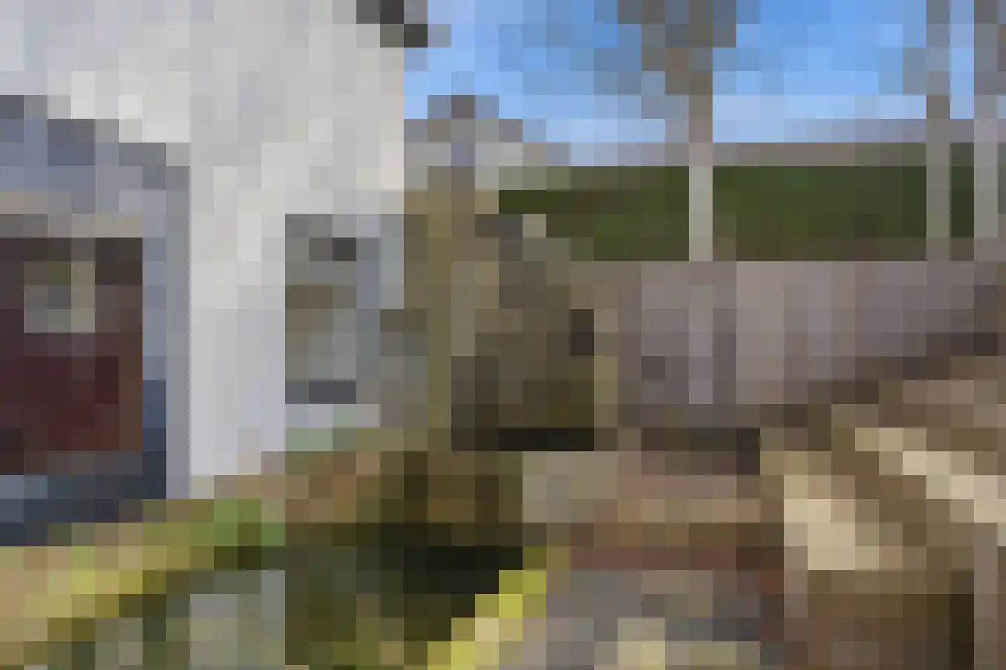 Thorbeckestraat 3 Didam thumbnail 20