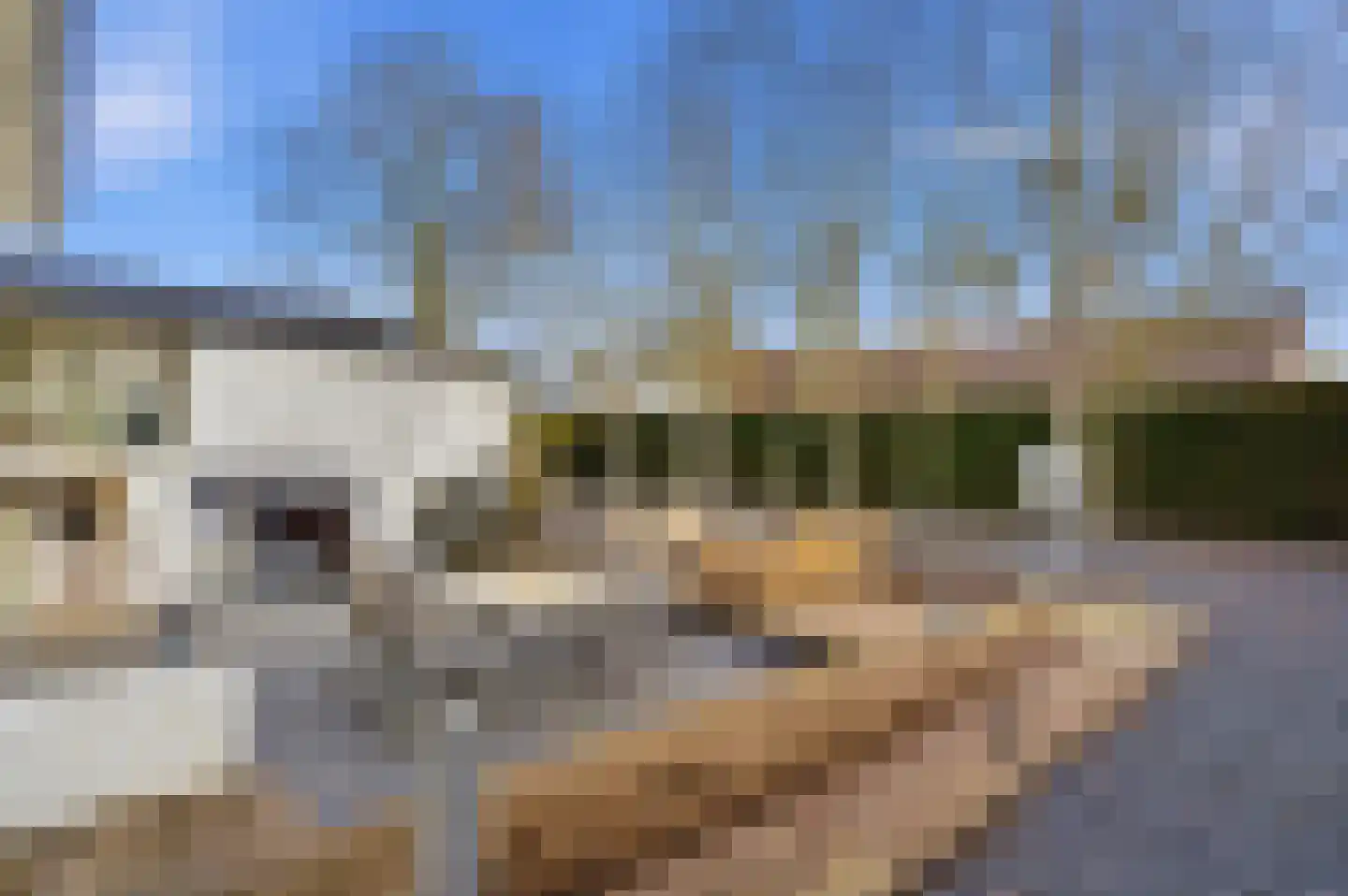Thorbeckestraat 3 Didam thumbnail 23