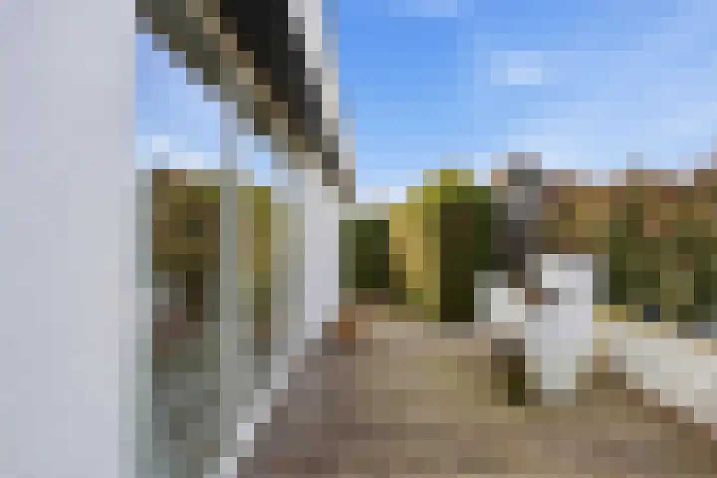 Thorbeckestraat 3 Didam thumbnail 24