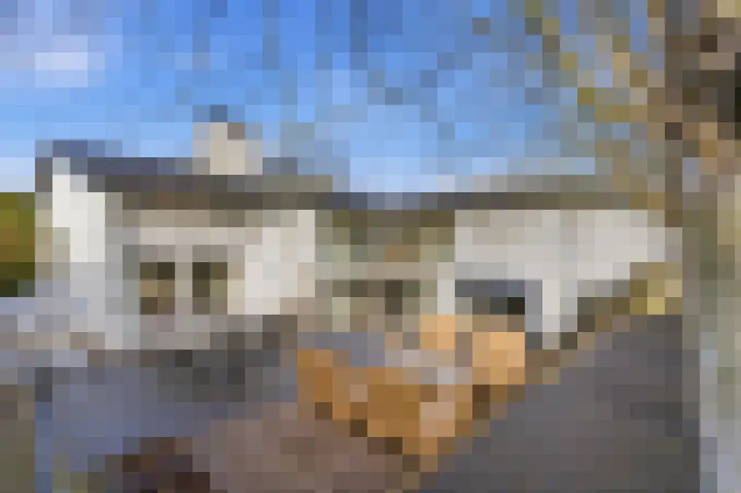 Thorbeckestraat 3 Didam thumbnail 26