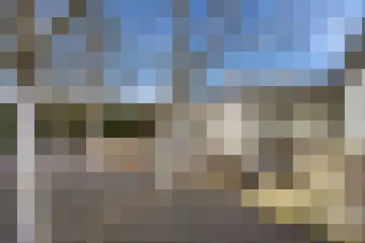Thorbeckestraat 3 Didam thumbnail 28