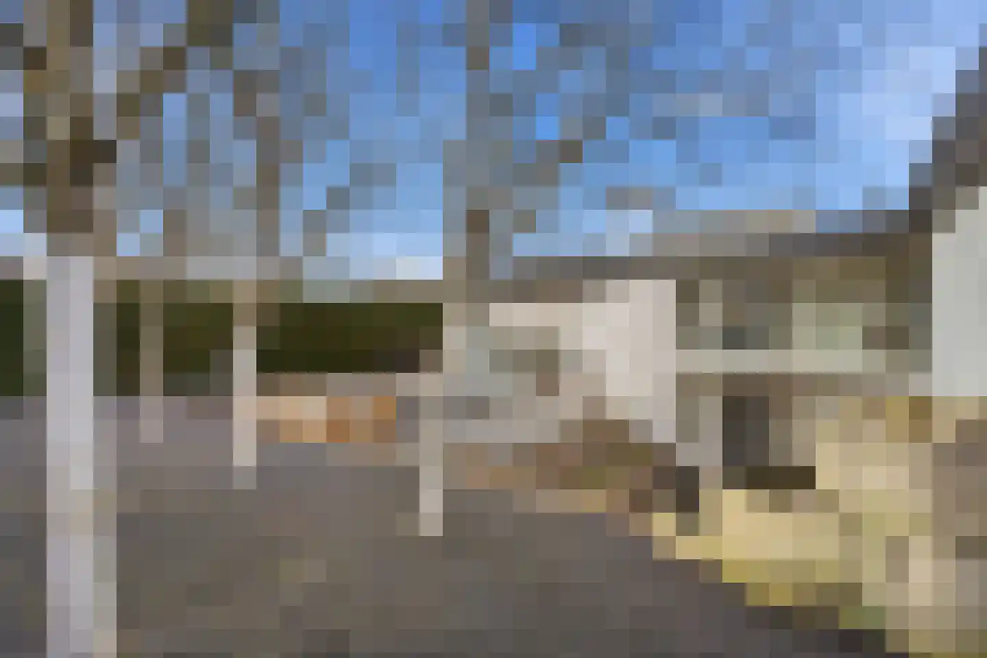 Thorbeckestraat 3 Didam thumbnail 28