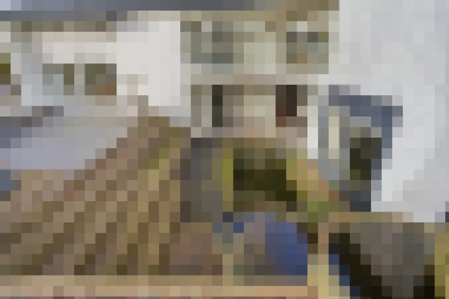 Thorbeckestraat 3 Didam thumbnail 29