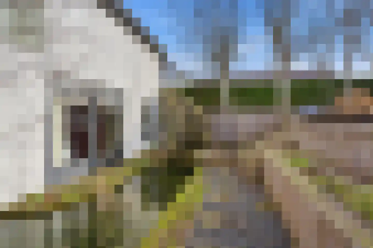 Thorbeckestraat 3 Didam thumbnail 30